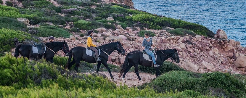 Descobriu Menorca a lloms d’un cavall