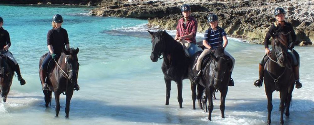 The nobility of the Menorcan horses of Rutas Ecuestres Camí de Cavalls