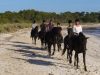 RUTAS ECUESTRES CAMÍ CAVALLS