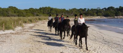 RUTAS ECUESTRES CAMÍ CAVALLS