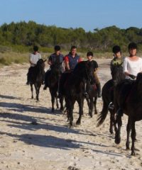 RUTAS ECUESTRES CAMÍ CAVALLS