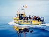 S’ALGAR DIVING