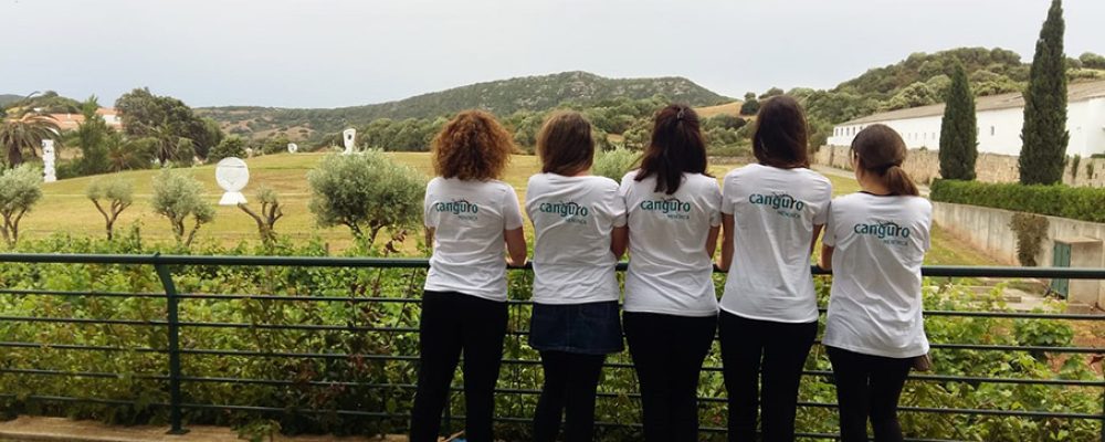« Canguro Menorca »,  vous propose une solution pour vous accorder  du temps libre en couple pendant les vacances familiales.