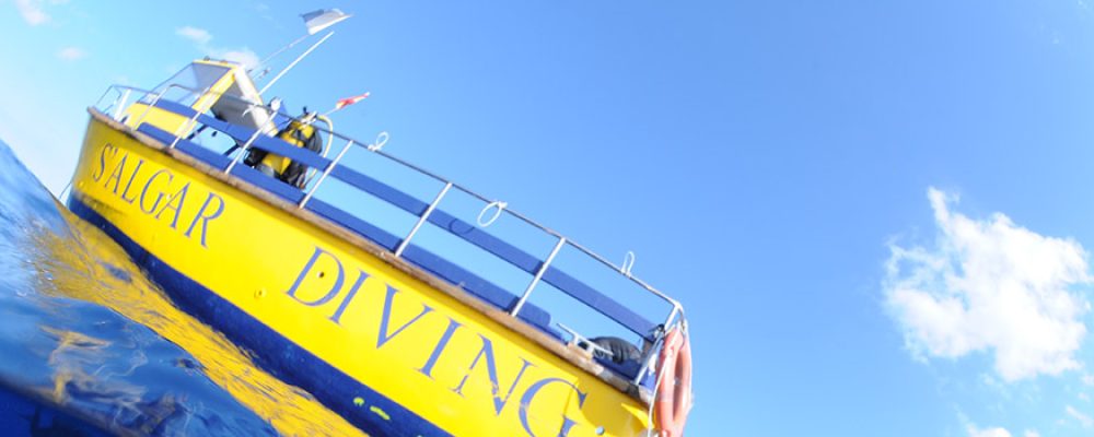 Profitez du privilège des fonds marins avec  S’Algar Diving